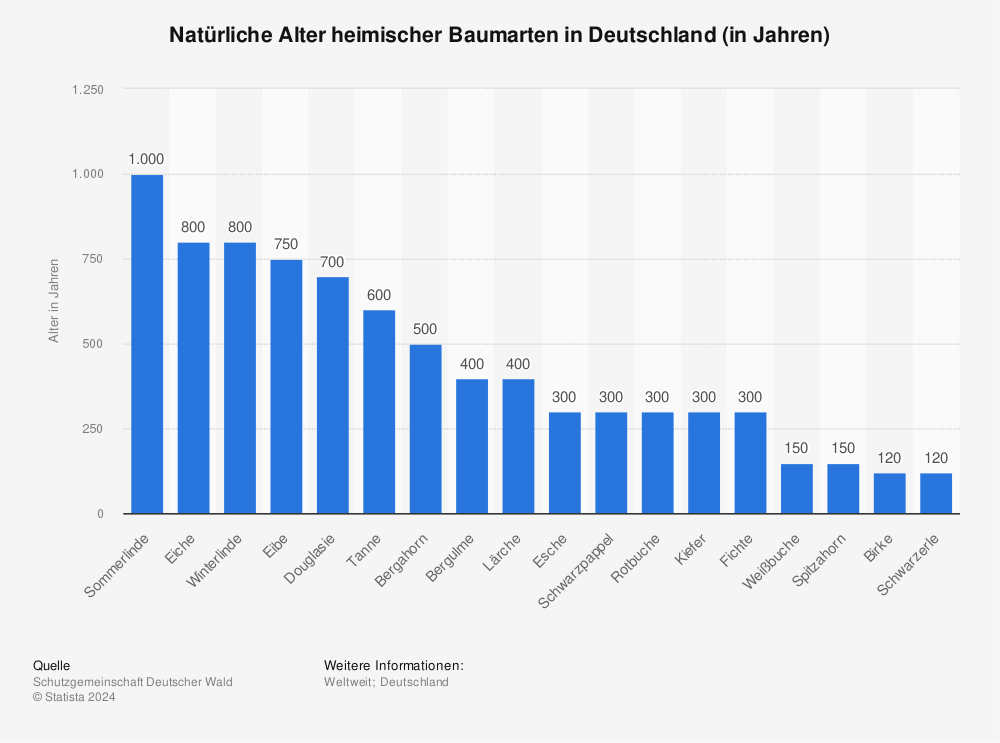 Statistik: Natürliche Alter heimischer Baumarten in Deutschland (in Jahren) | Statista